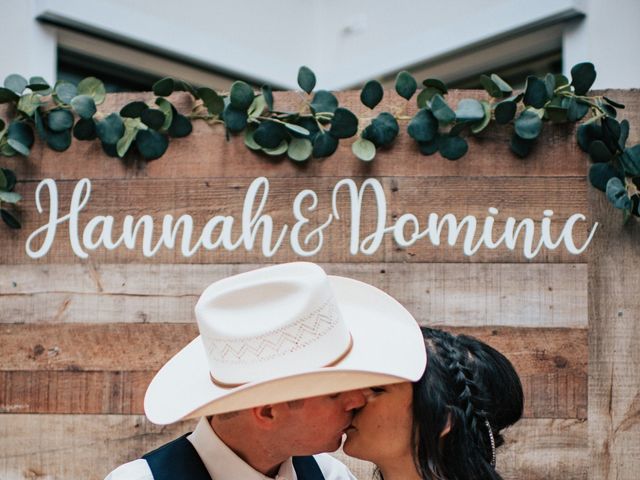 Dominic and Hannah&apos;s Wedding in Gilbert, Arizona 3