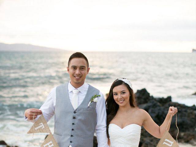 Kristina and Will&apos;s wedding in Hawaii 18