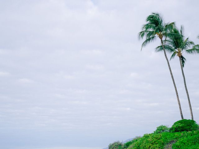 Patricia and Sebastian&apos;s Wedding in Kihei, Hawaii 17