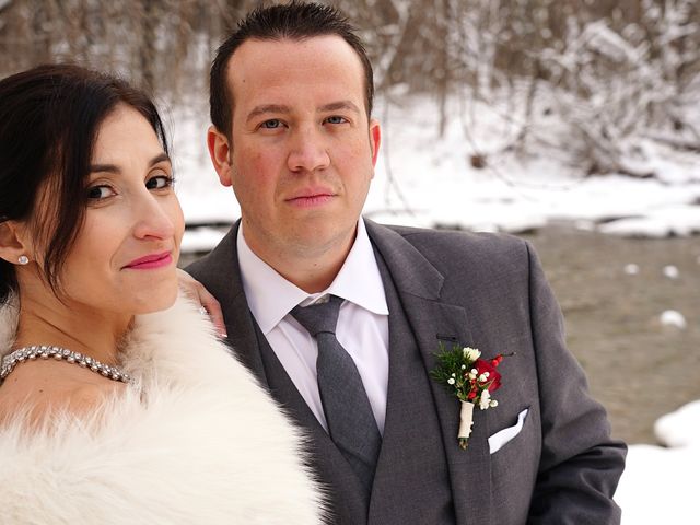 Ariane and Andrew&apos;s Wedding in Montgomery Center, Vermont 12