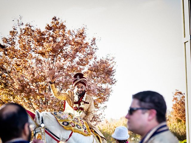 Sravan and Shimoli&apos;s Wedding in Cincinnati, Ohio 29