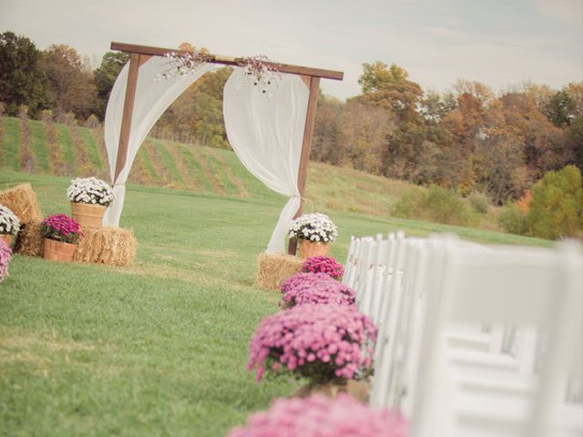 Lauren and Craig's Wedding in Maryville, Illinois 11
