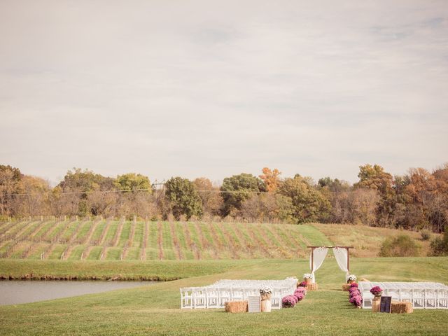 Lauren and Craig's Wedding in Maryville, Illinois 10