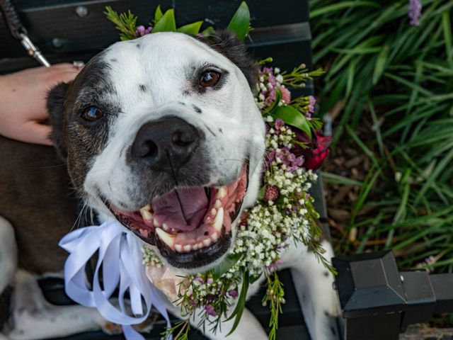 Colin and Paige&apos;s Wedding in Baltimore, Maryland 25