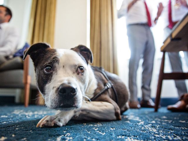 Colin and Paige&apos;s Wedding in Baltimore, Maryland 143