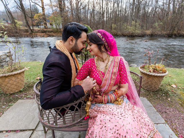 Vikram and Radha&apos;s Wedding in Belvidere, New Jersey 7