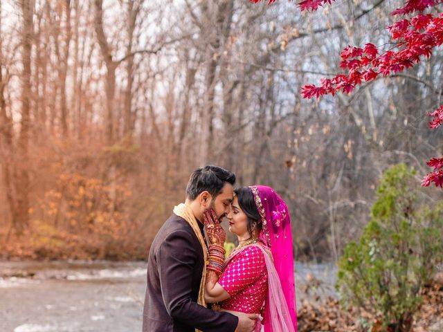 Vikram and Radha&apos;s Wedding in Belvidere, New Jersey 10