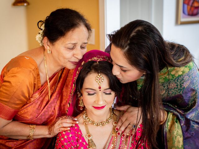 Vikram and Radha&apos;s Wedding in Belvidere, New Jersey 30
