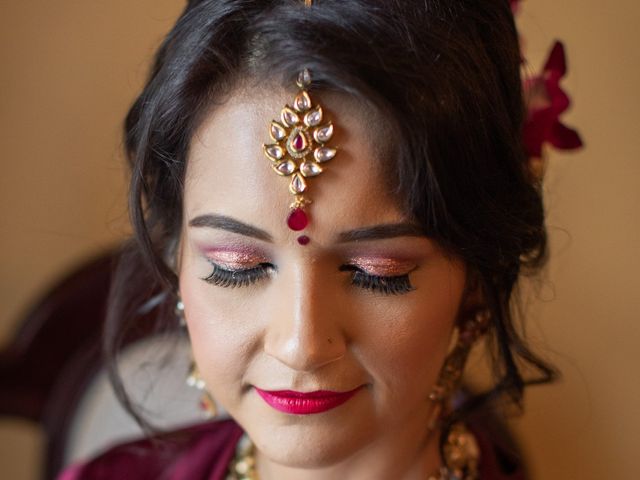 Vikram and Radha&apos;s Wedding in Belvidere, New Jersey 35