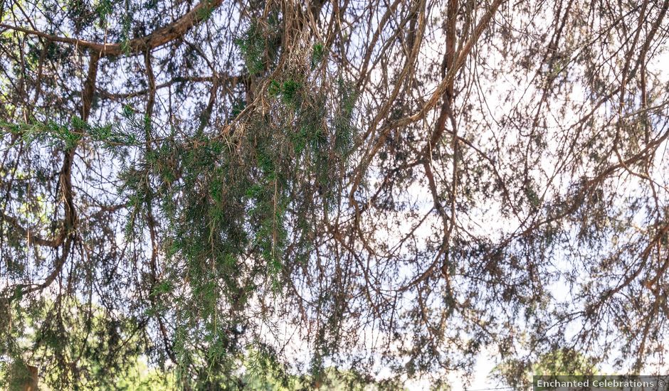 Alex and Brenna's Wedding in Blairstown, New Jersey
