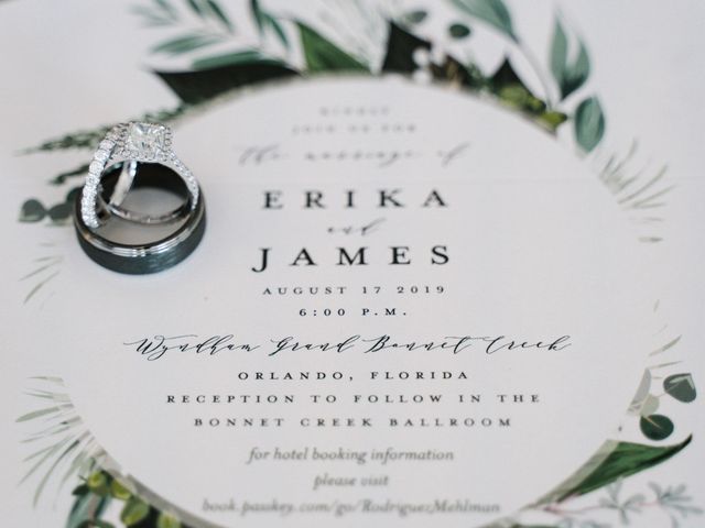 James and Erika&apos;s Wedding in Orlando, Florida 4