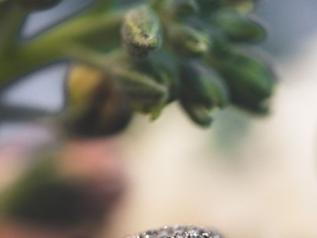 Dene and Chris&apos;s Wedding in Chicago, Illinois 4