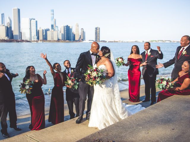 Dene and Chris&apos;s Wedding in Chicago, Illinois 33
