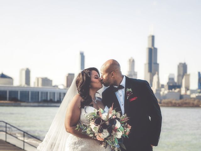 Dene and Chris&apos;s Wedding in Chicago, Illinois 2