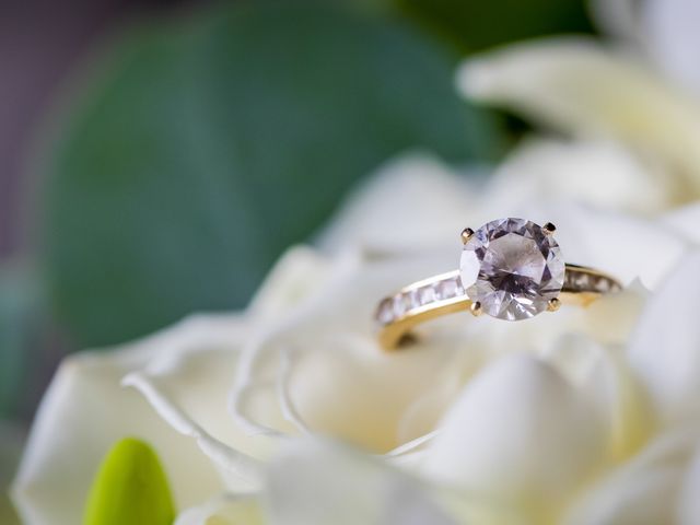 Michael and Ashley's Wedding in Lafayette, New Jersey 2