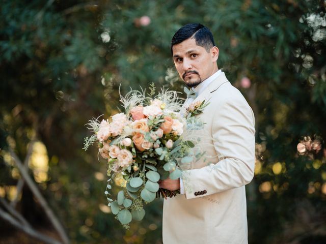Erik and Shelby&apos;s Wedding in Woodland, California 17