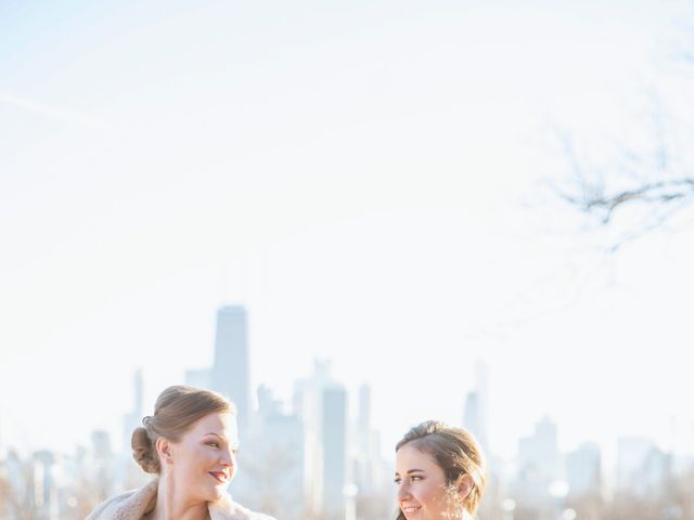 Courtney and Elizabeth&apos;s Wedding in Chicago, Illinois 1