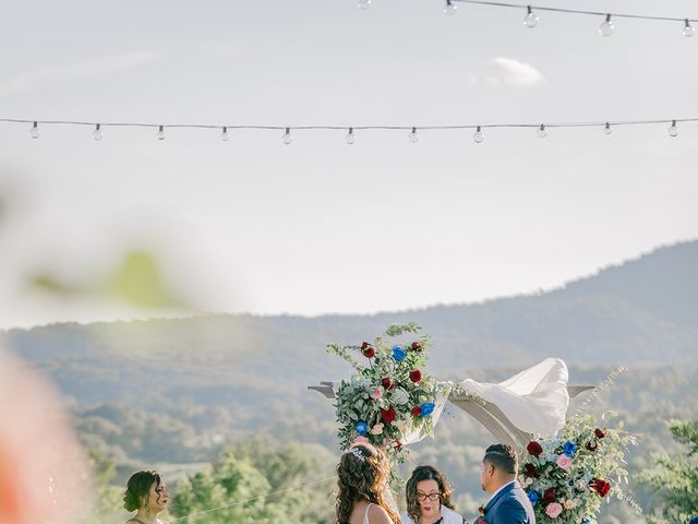 Brianna and Josh&apos;s Wedding in Delaplane, Virginia 29