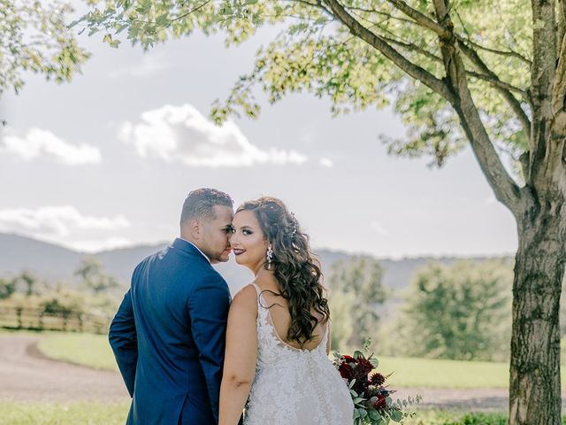 Brianna and Josh&apos;s Wedding in Delaplane, Virginia 55