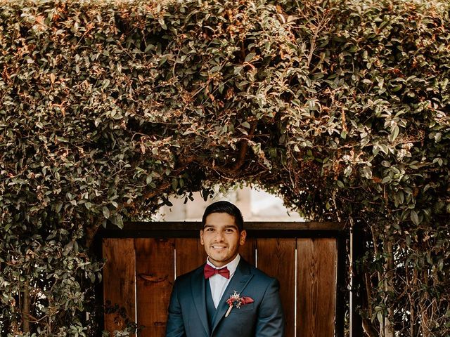 Roy and Mary Ann's Wedding in San Diego, California 5