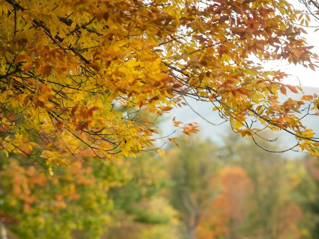 Lawrence and Kayla&apos;s Wedding in Queensbury, New York 15