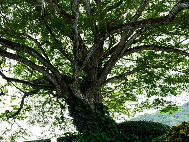 Claire and Matthew&apos;s Wedding in Kaneohe, Hawaii 115