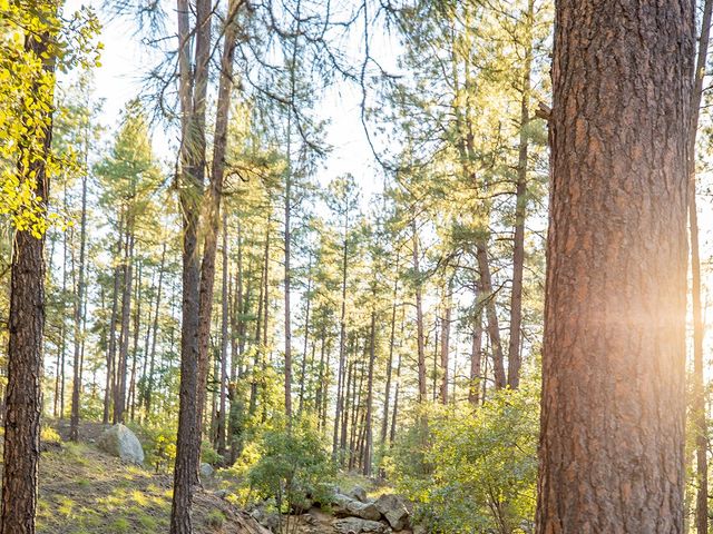 Breck and Heidi&apos;s Wedding in Prescott, Arizona 11