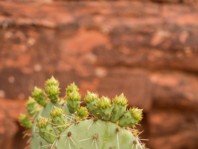 Jorge and Barbara&apos;s Wedding in Sedona, Arizona 26