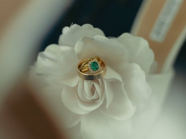 Ryan and Hye-Song's Wedding in Gwynn Oak, Maryland 9