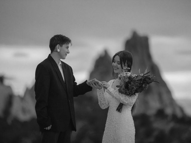 Leo and Aleena&apos;s Wedding in Colorado Springs, Colorado 5