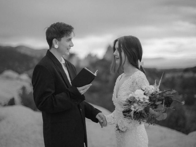 Leo and Aleena&apos;s Wedding in Colorado Springs, Colorado 10