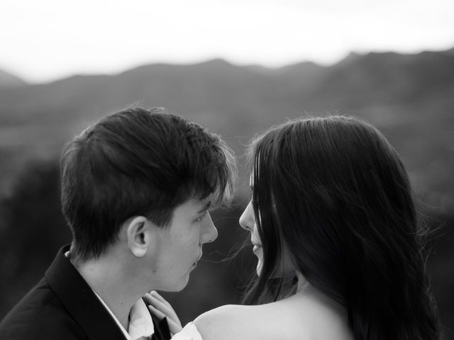 Leo and Aleena's Wedding in Colorado Springs, Colorado 6