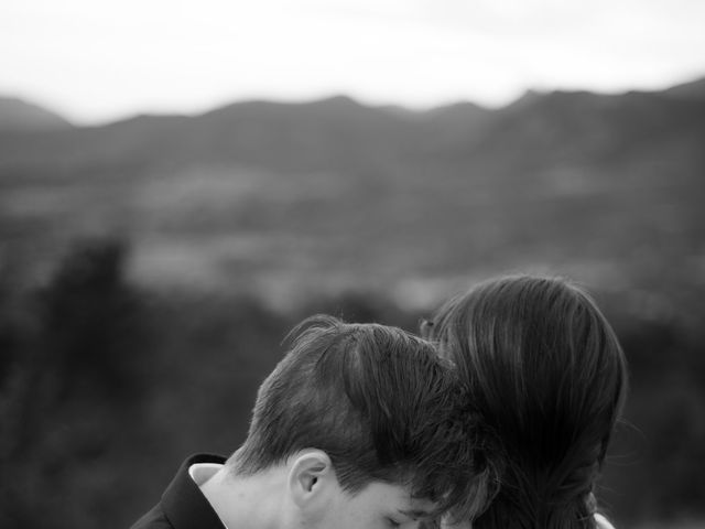 Leo and Aleena's Wedding in Colorado Springs, Colorado 8