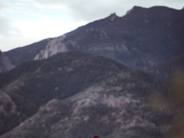 Leo and Aleena's Wedding in Colorado Springs, Colorado 17