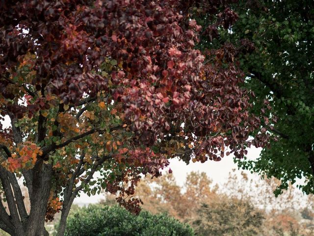 Lyndsay and Matt&apos;s Wedding in Sacramento, California 40