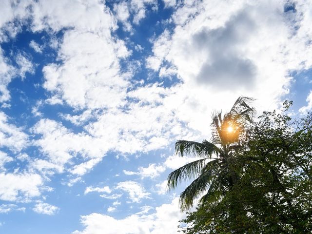 Correy and Jennifer&apos;s Wedding in La Romana, Dominican Republic 28