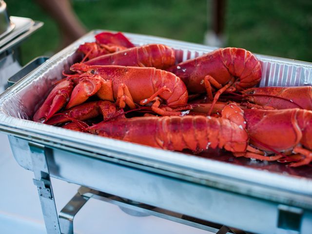 Richard and Kristin&apos;s Wedding in Chebeague Island, Maine 6