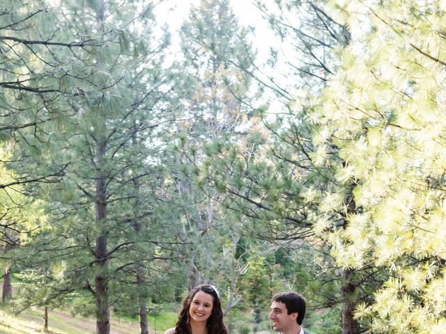 Jessica and Zach&apos;s Wedding in Placerville, California 5