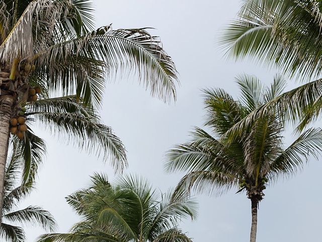 Eddie and Flor's Wedding in Playa del Carmen, Mexico 9