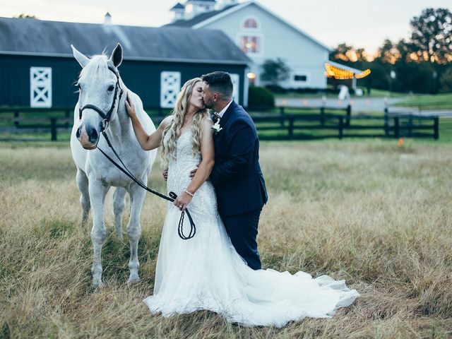 The wedding of Ashley and Sean