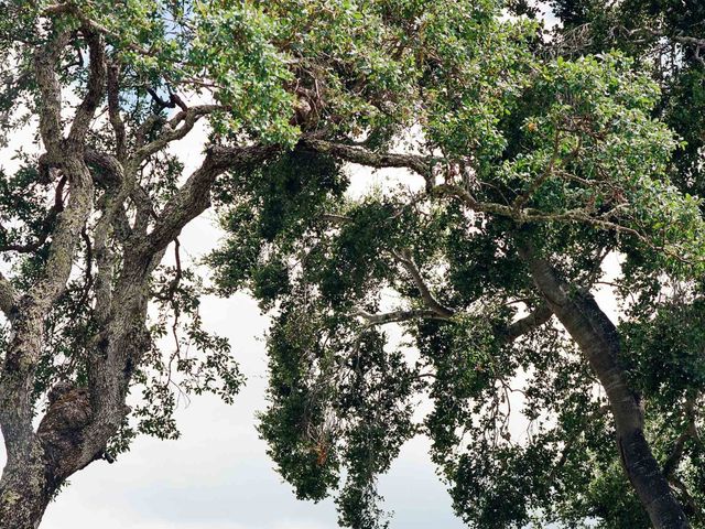 Matt and Julia&apos;s Wedding in Carmel Valley, California 28