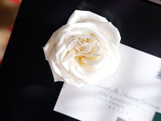 Tony and Nicole's Wedding in Chicago, Illinois 1