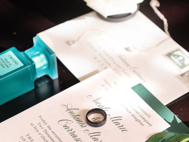 Tony and Nicole's Wedding in Chicago, Illinois 4