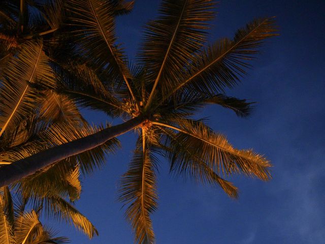 Joe and Adam's Wedding in Puerto Vallarta, Mexico 9