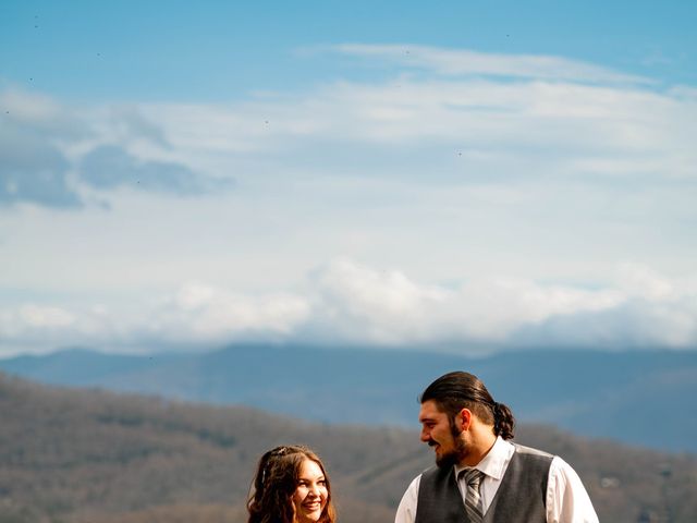 Jackson and Serenity&apos;s Wedding in Asheville, North Carolina 8