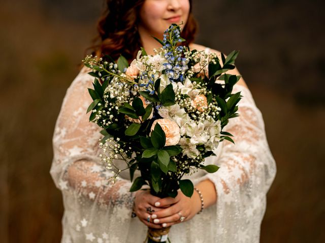 Jackson and Serenity&apos;s Wedding in Asheville, North Carolina 13