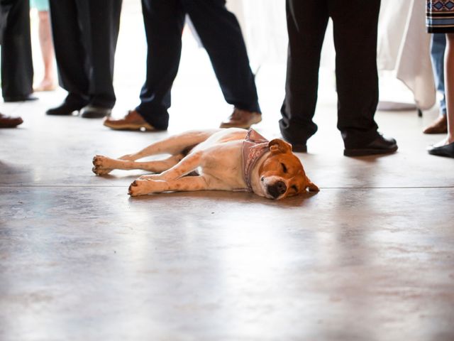 Ella and Zach&apos;s Wedding in Chapel Hill, North Carolina 13