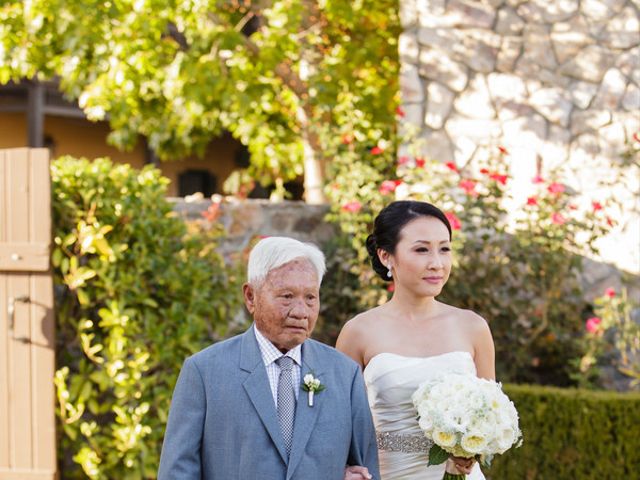 Janet and Tim&apos;s Wedding in Sonoma, California 11