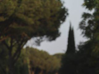 Simone &amp; Melania's wedding 3