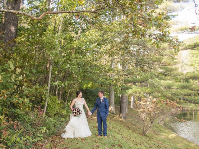 David and April&apos;s Wedding in Asheville, North Carolina 5